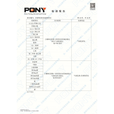 检测报告12